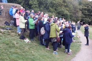 Box Hill 'One Moon' Project