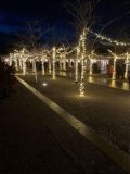 Wisley-2b