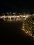 Wisley-3b