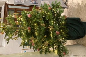 St Mary's 2023 - Final Concert Christmas 2023